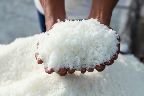 Ảnh của Từ hạt muối trắng đến hành trình thoát nghèo bền vững